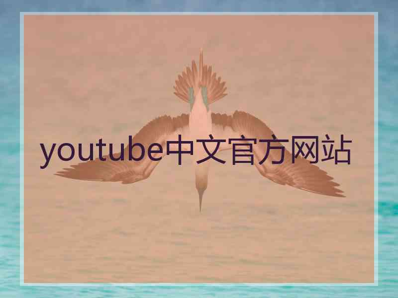youtube中文官方网站