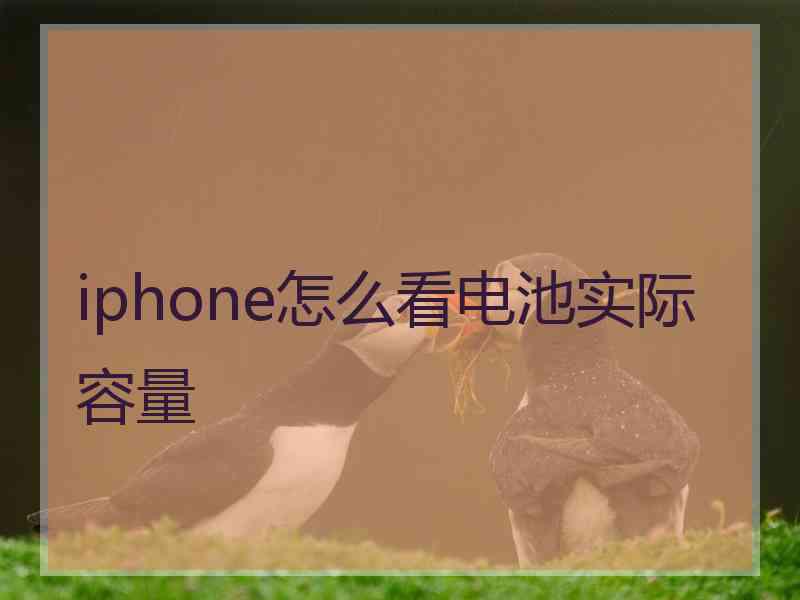 iphone怎么看电池实际容量