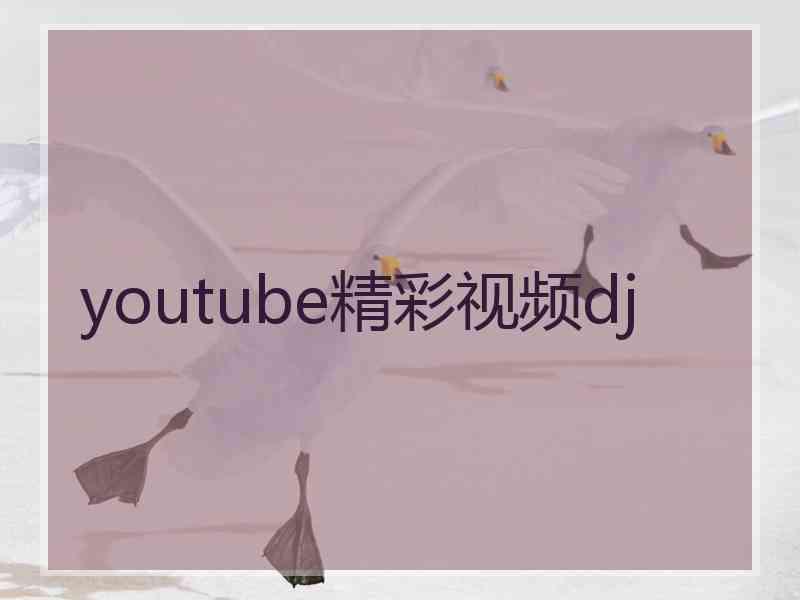 youtube精彩视频dj