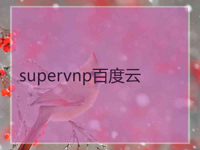 supervnp百度云