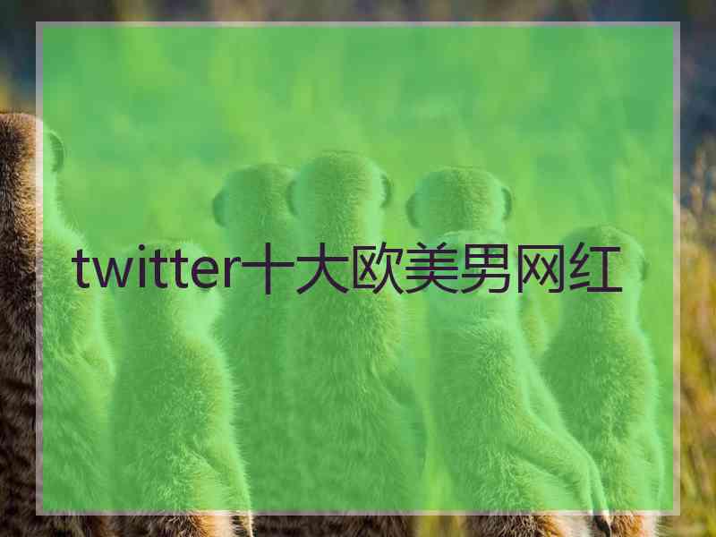 twitter十大欧美男网红