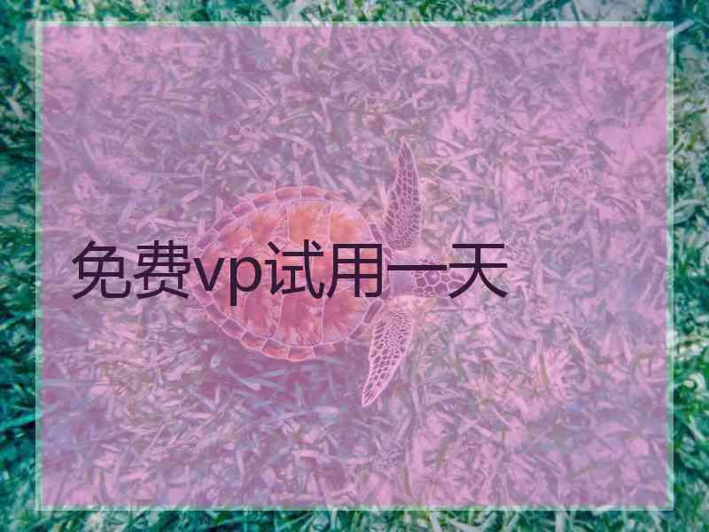 免费vp试用一天