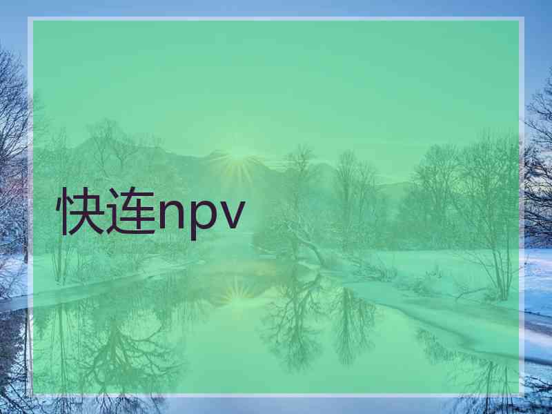 快连npv