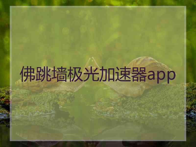 佛跳墙极光加速器app