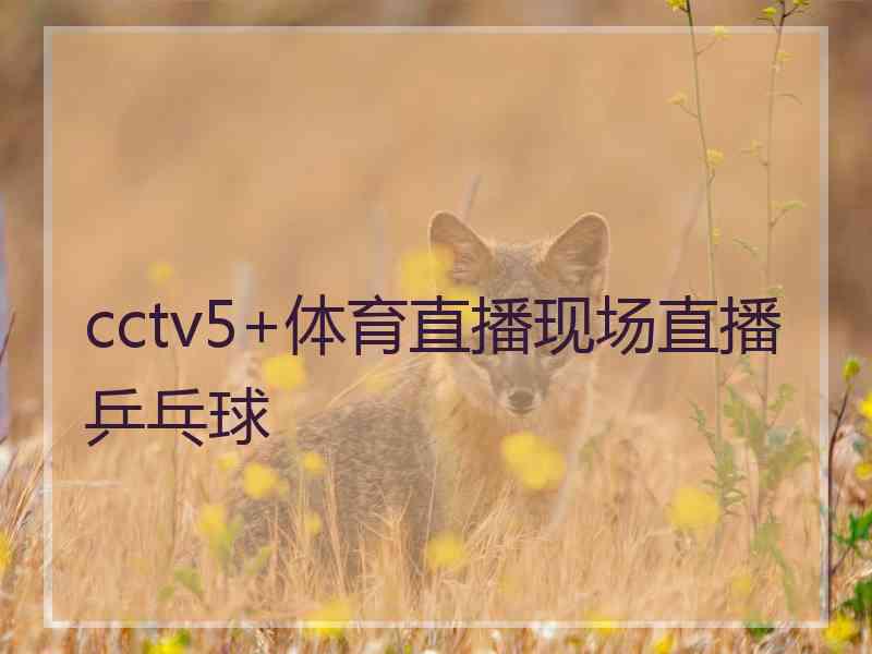 cctv5+体育直播现场直播乒乓球