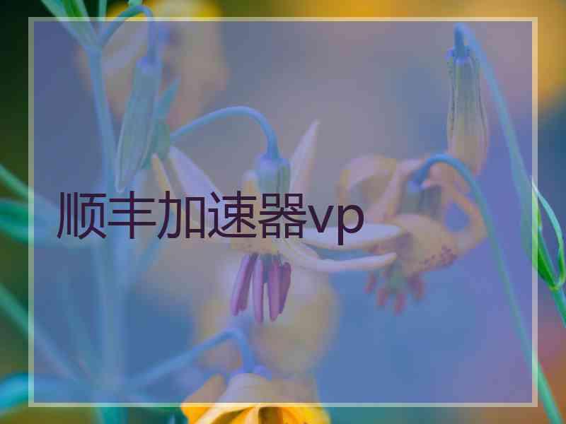 顺丰加速器vp