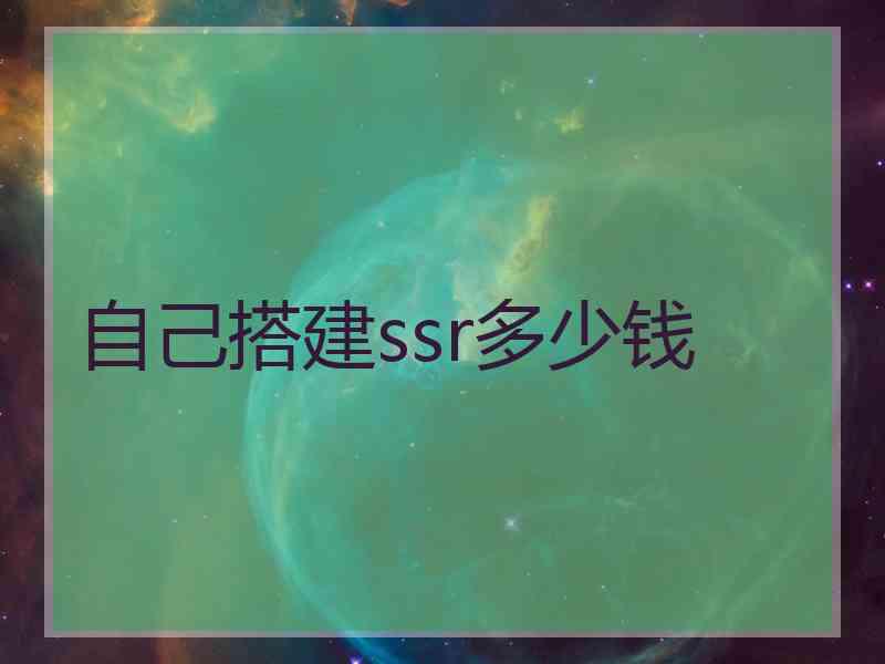 自己搭建ssr多少钱