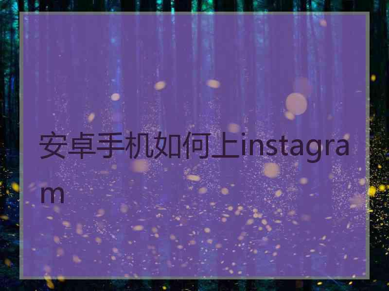 安卓手机如何上instagram