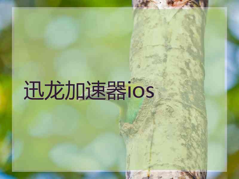 迅龙加速器ios