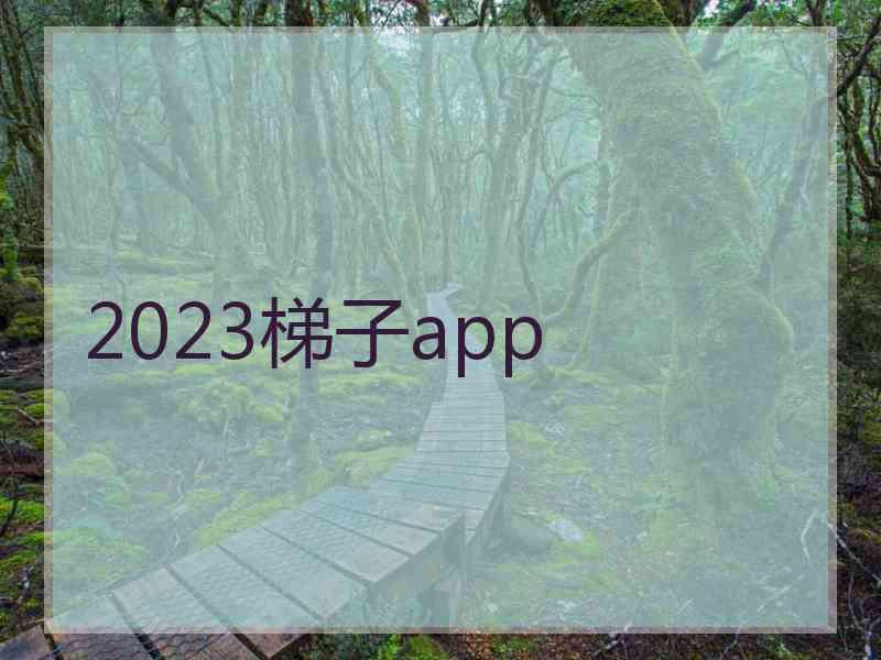 2023梯子app