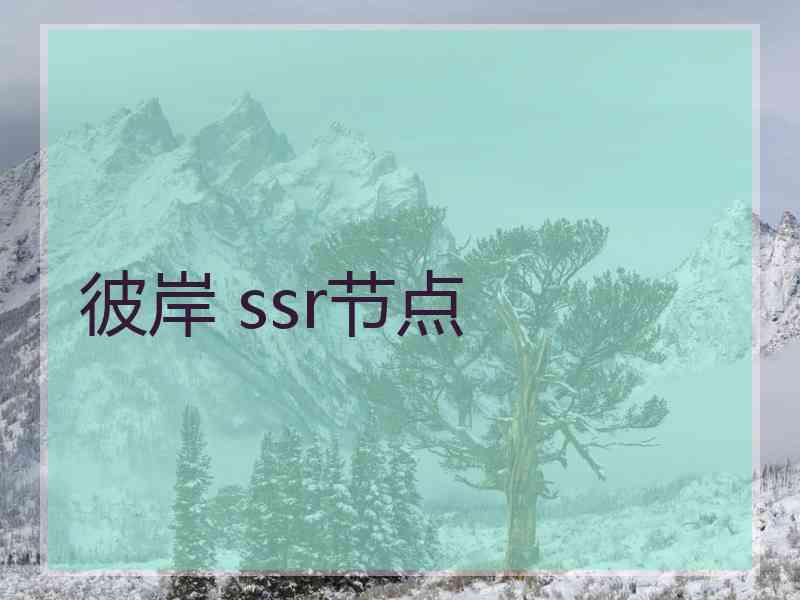 彼岸 ssr节点