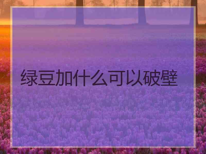 绿豆加什么可以破壁