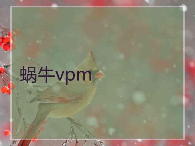 蜗牛vpm