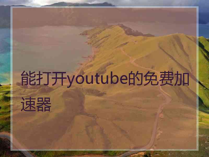 能打开youtube的免费加速器