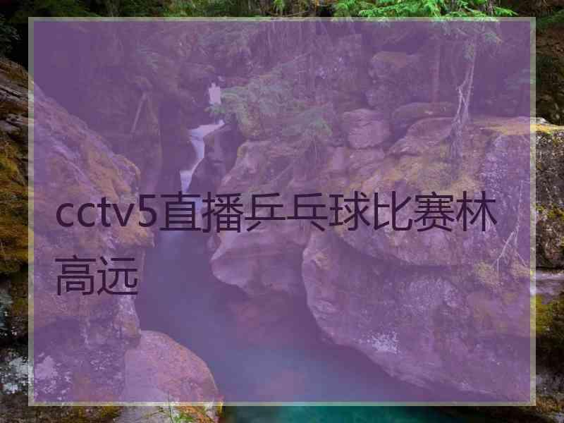 cctv5直播乒乓球比赛林高远