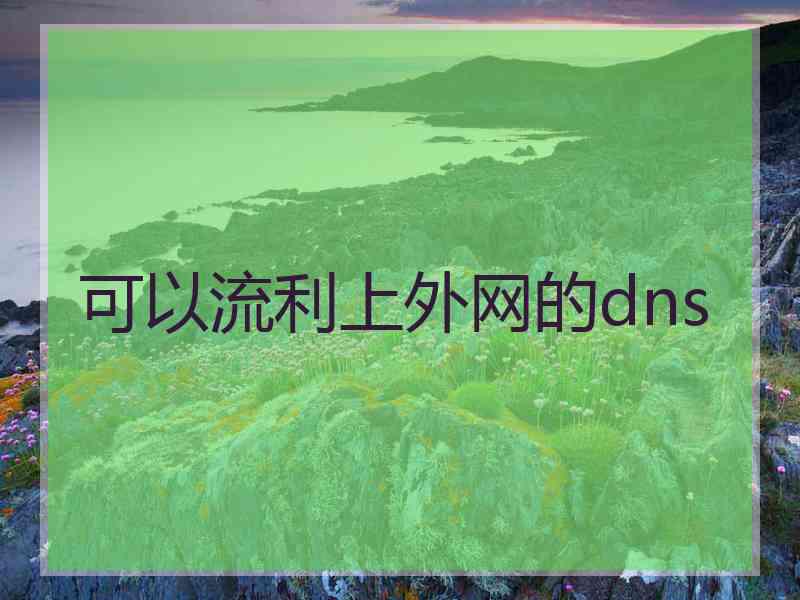 可以流利上外网的dns