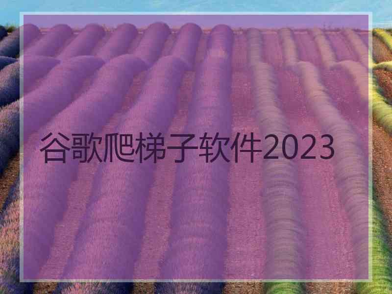 谷歌爬梯子软件2023