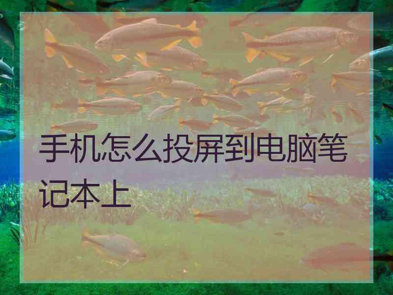 手机怎么投屏到电脑笔记本上