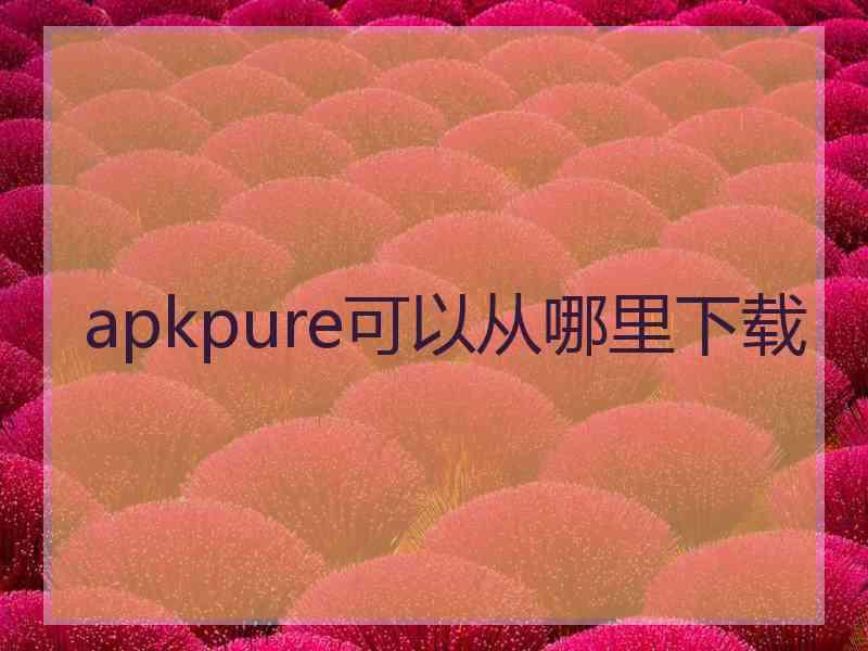 apkpure可以从哪里下载