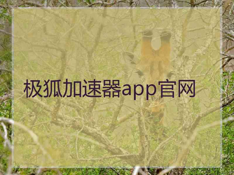 极狐加速器app官网