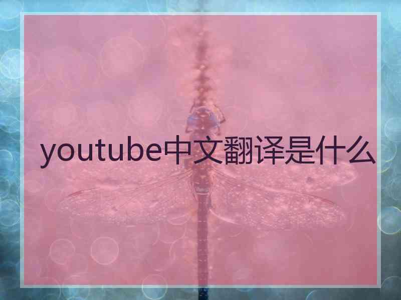 youtube中文翻译是什么