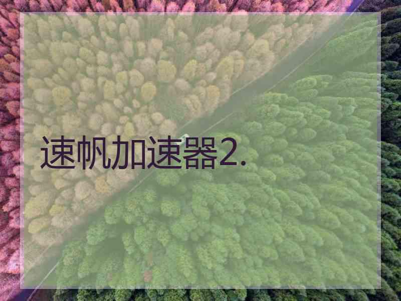 速帆加速器2.