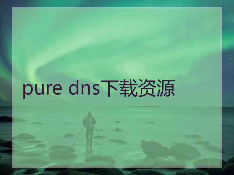 pure dns下载资源