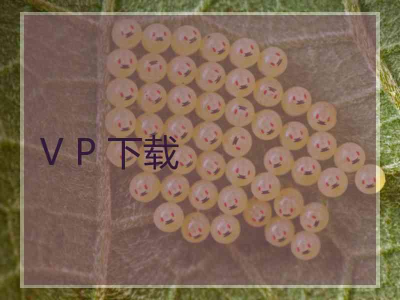 V P 下载