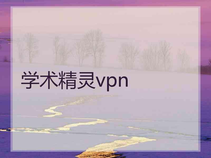 学术精灵vpn