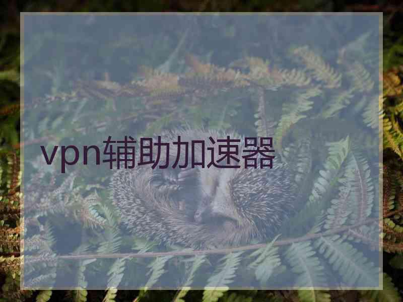 vpn辅助加速器