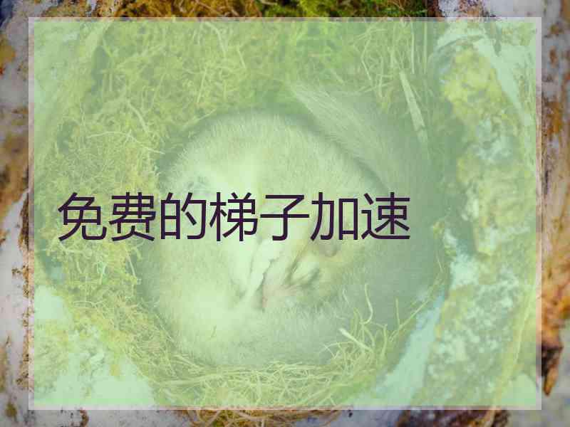 免费的梯子加速