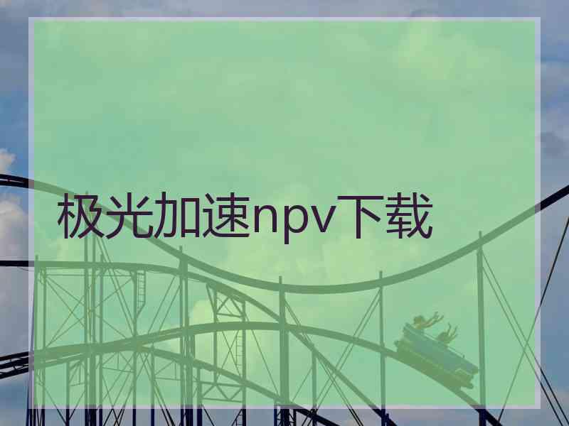 极光加速npv下载