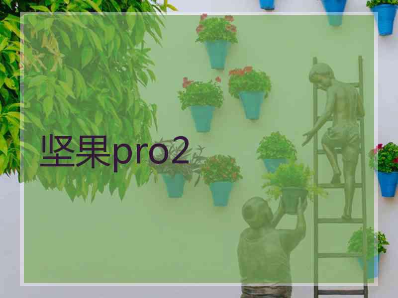 坚果pro2