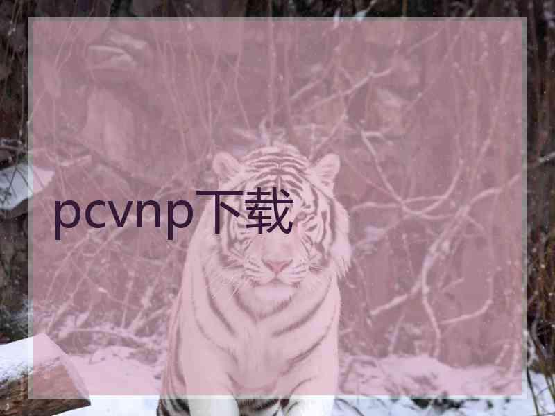 pcvnp下载