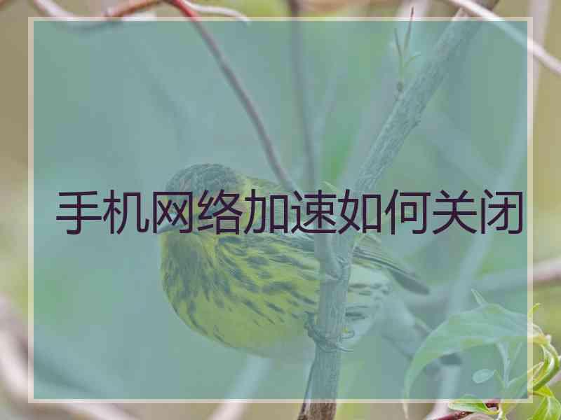 手机网络加速如何关闭