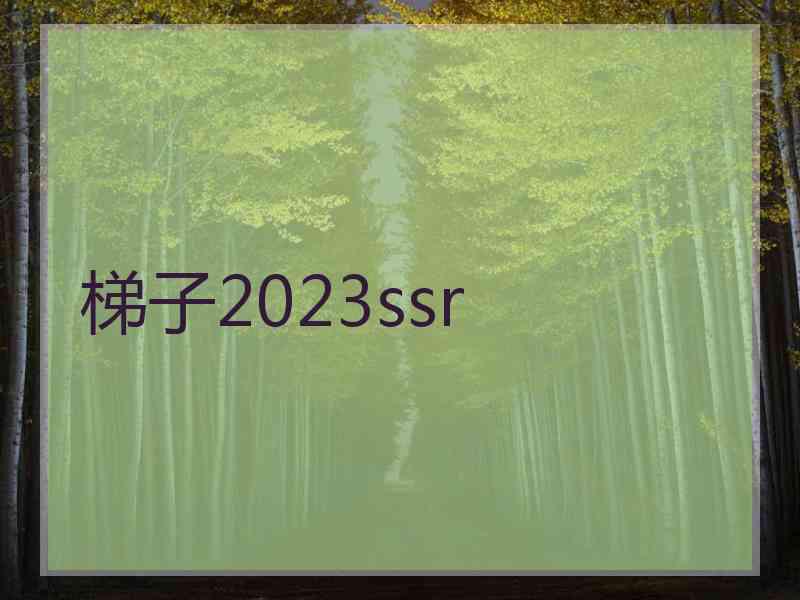 梯子2023ssr