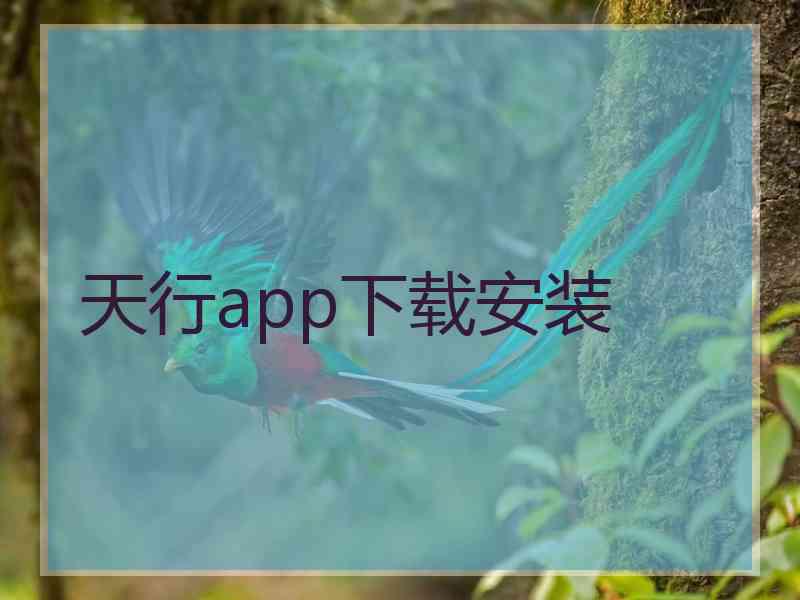 天行app下载安装