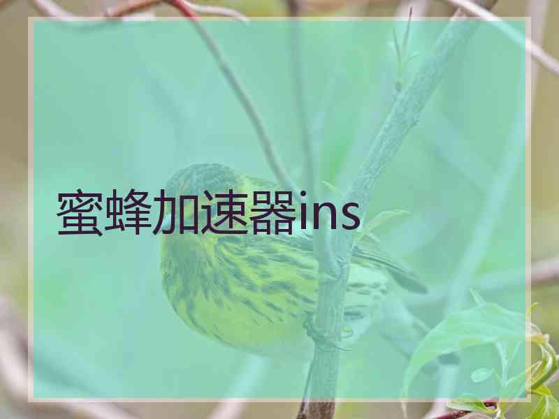 蜜蜂加速器ins