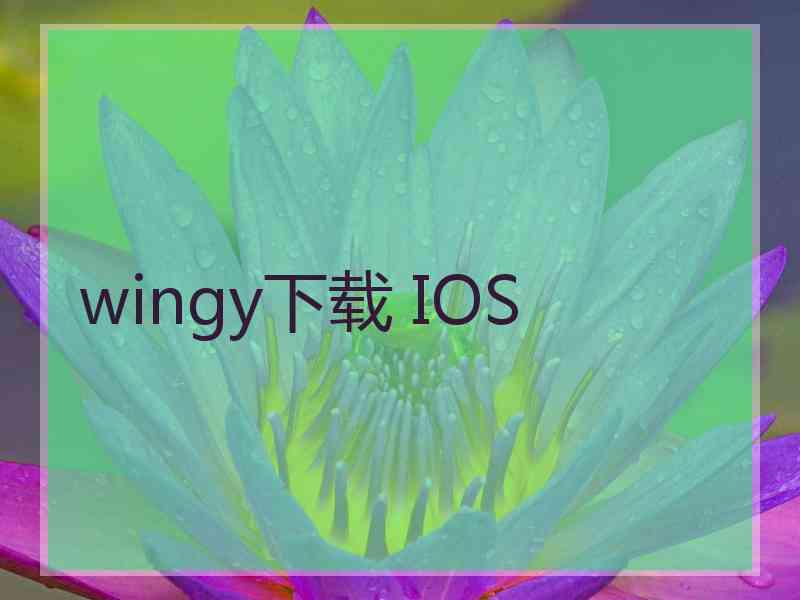 wingy下载 IOS