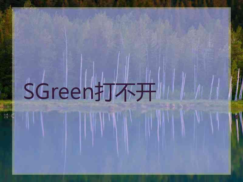 SGreen打不开