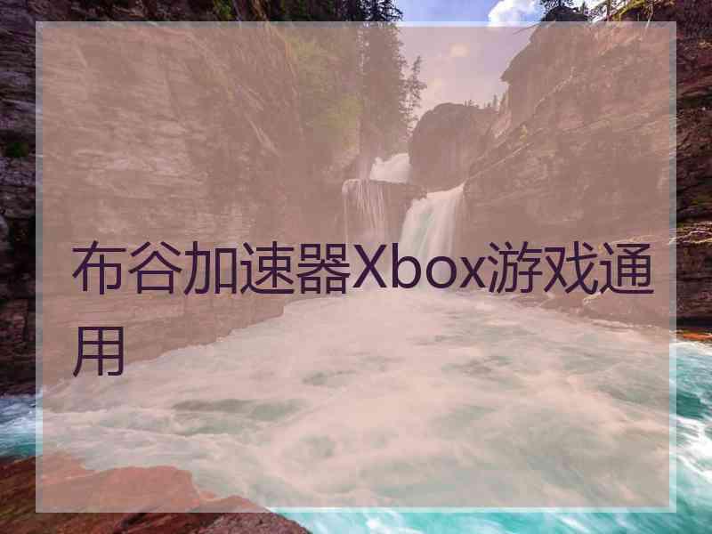 布谷加速器Xbox游戏通用