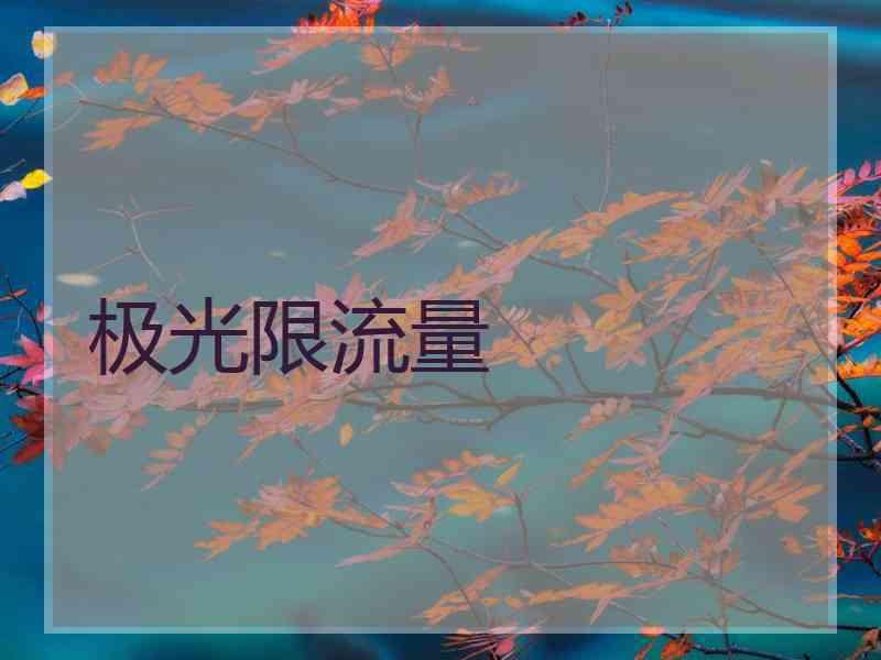 极光限流量