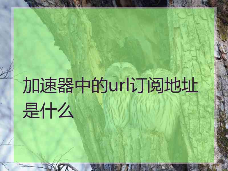 加速器中的url订阅地址是什么