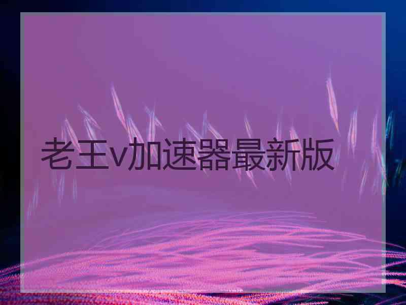 老王v加速器最新版