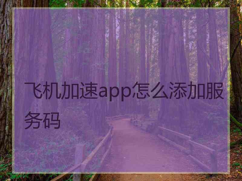 飞机加速app怎么添加服务码