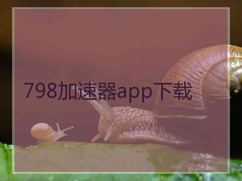 798加速器app下载