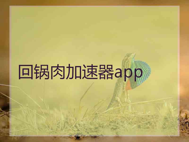 回锅肉加速器app