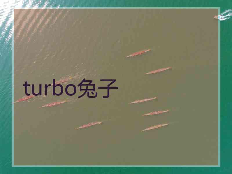 turbo兔子