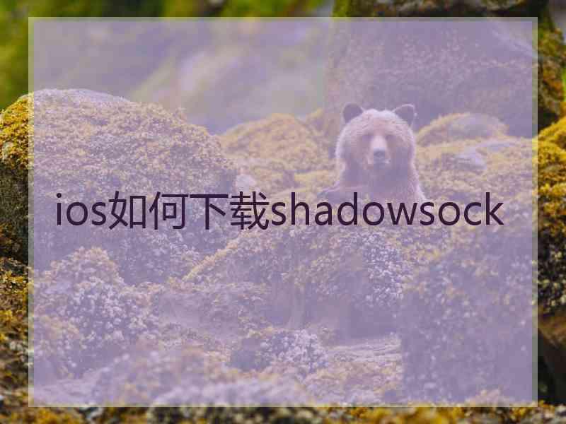 ios如何下载shadowsock