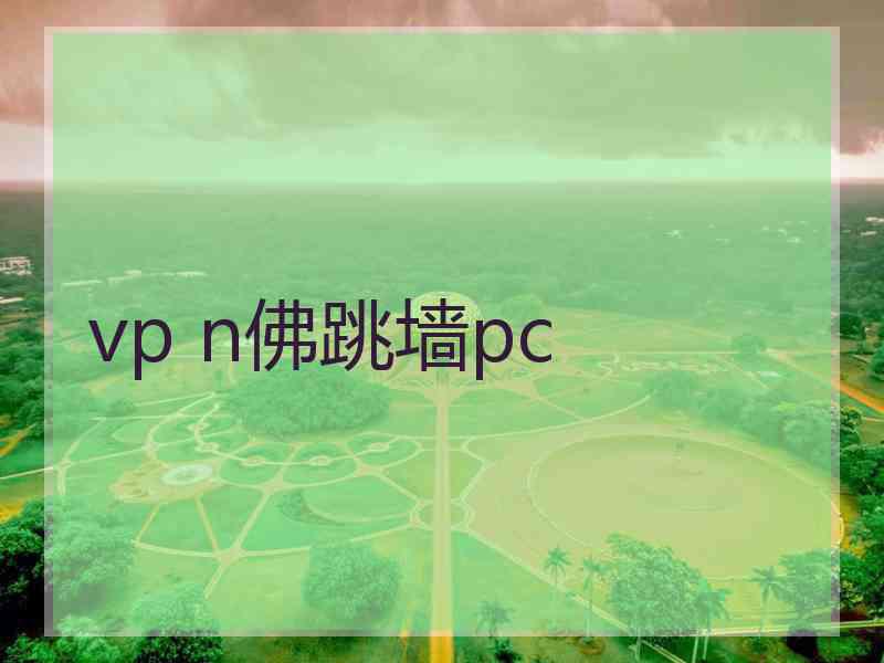 vp n佛跳墙pc